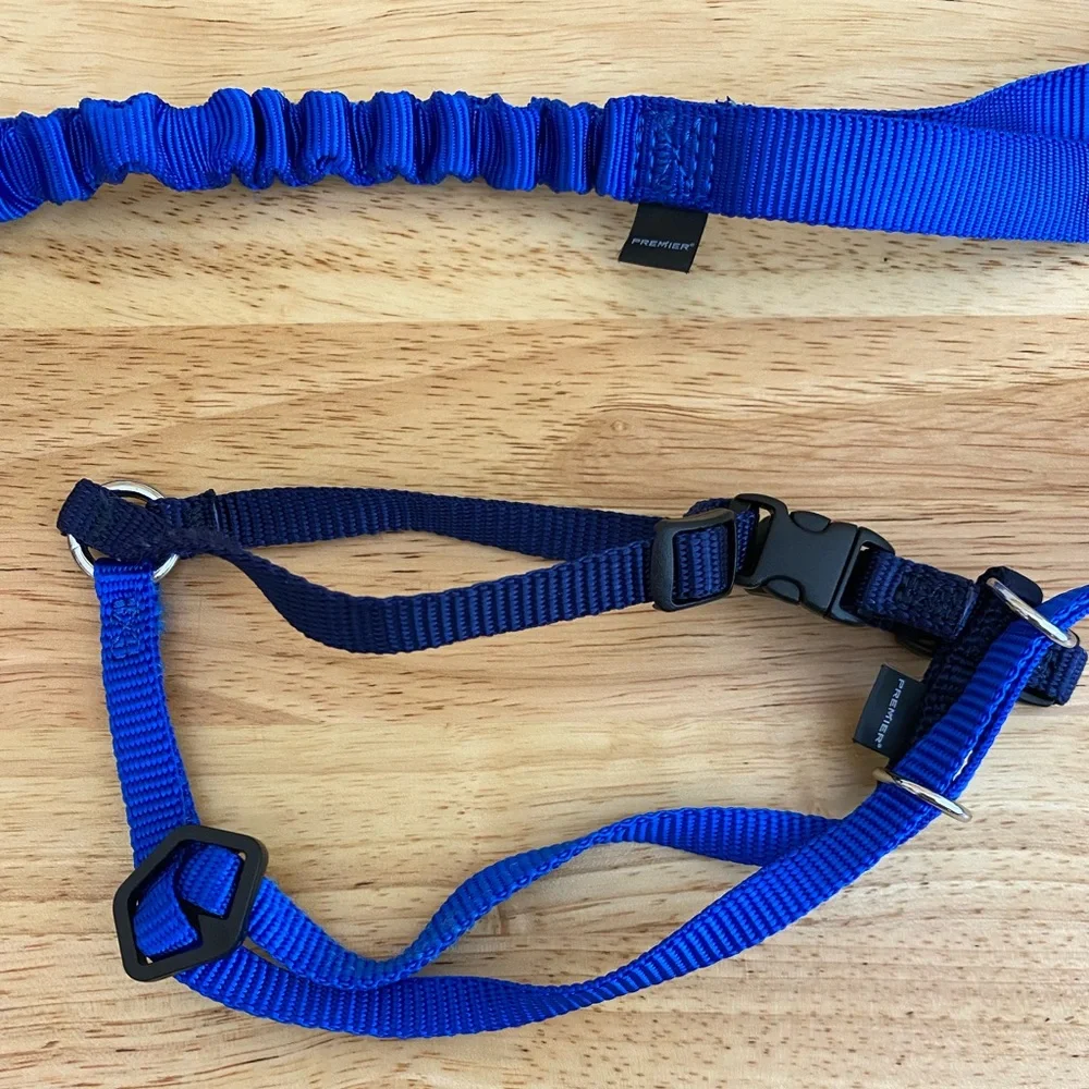 Premier Pet Safe Cat Bungee Leash and Harness
